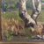 Fern Brockman James California Landscape Painting c 1920s artist's mark