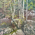 Vintage oil on board woodland scene Little Stony Creek