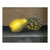 American Still Life Pastel on Paper of a Pear and Grapes 19th C. no frame