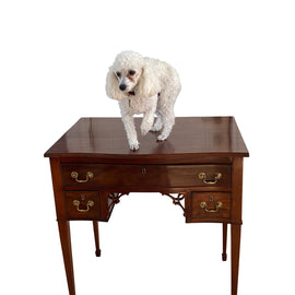 Antique English George III Metamorphic Desk front 2