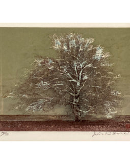 Joichi Hoshi “Tree“, Japanese Woodcut Print 1974