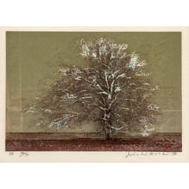 Joichi Hoshi “Tree“, Japanese Woodcut Print 1974