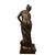 Christophe Gabriel Allegrain “Venus Au Bain” Bronze